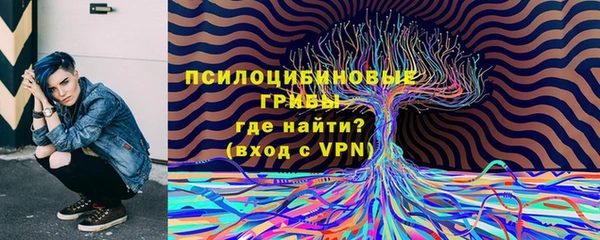 дмт Богданович