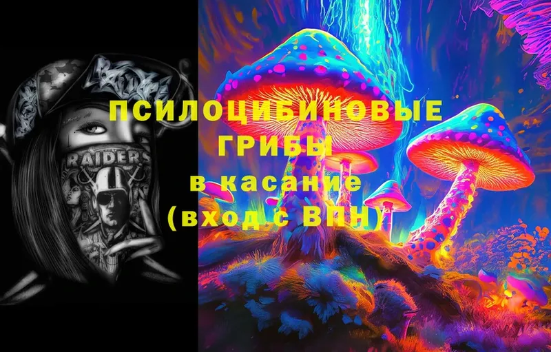 Галлюциногенные грибы Psilocybe  дарнет шоп  Ставрополь 